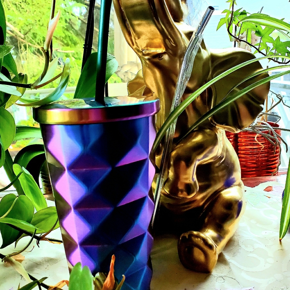 Iridescent Tumbler with Straw